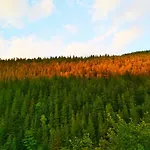 Na Horbyku Gasthof Tatariw